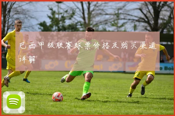 巴西甲级联赛球票价格及购买渠道详解