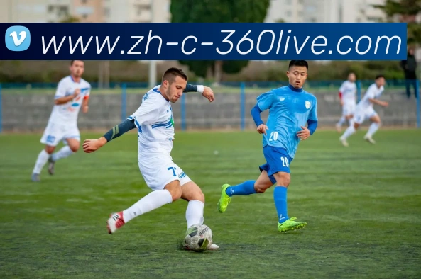 多媒体互动体验